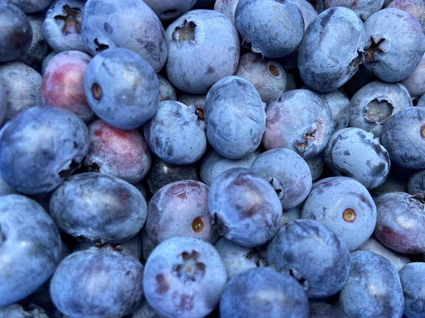 Blueberries